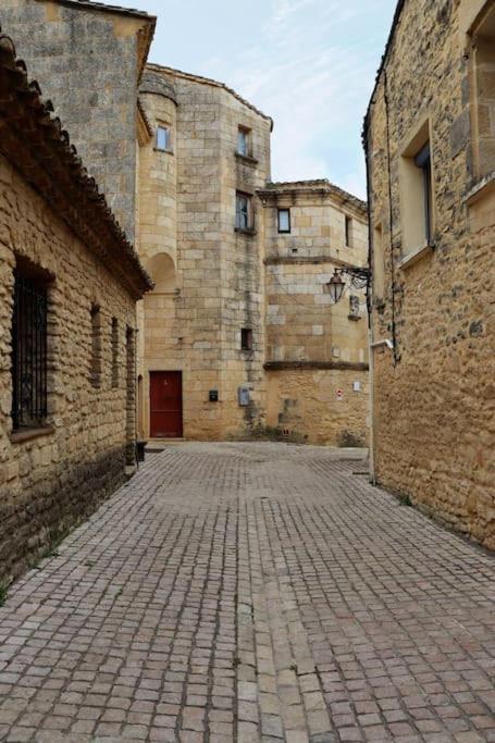 דירות קסטיון-דו-גארד Entre Uzes Et Le Pont-Du-Gard Le Logis D'Autrefois מראה חיצוני תמונה